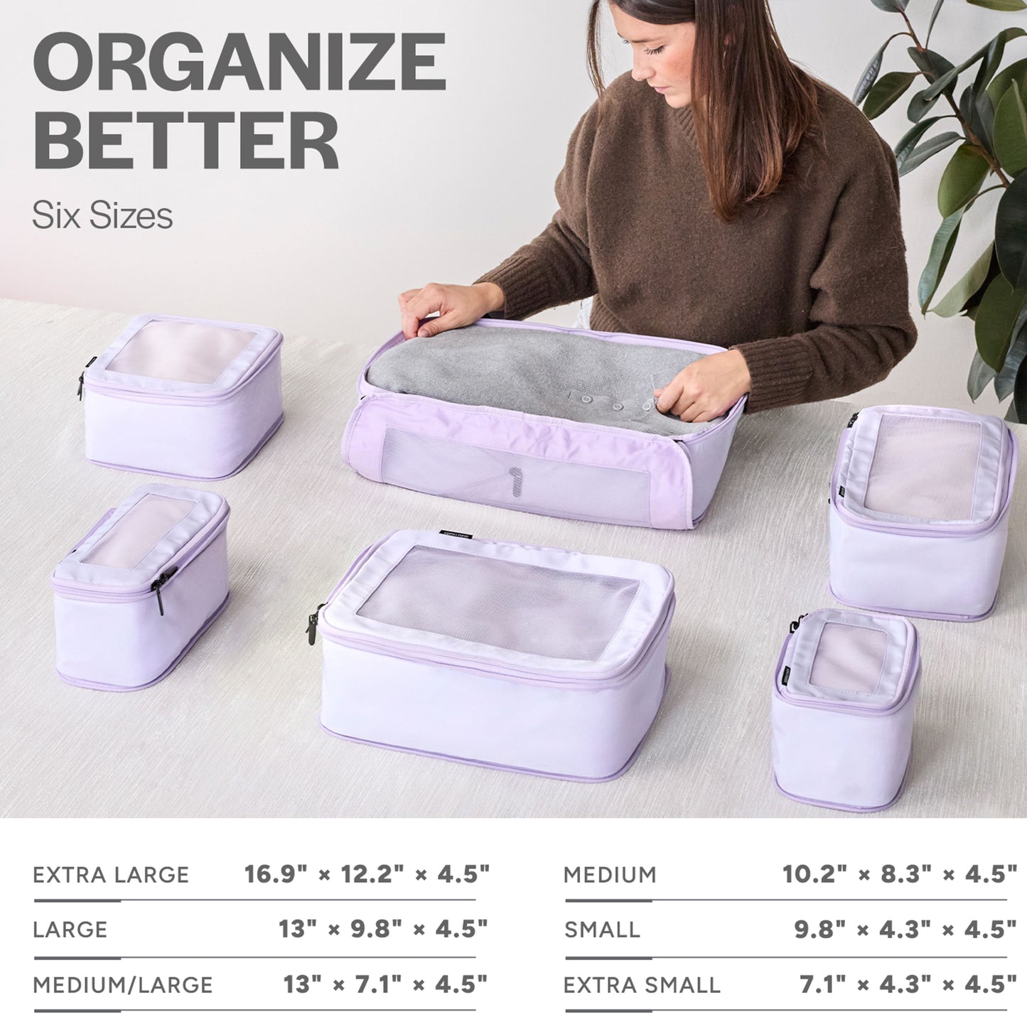 Purple 6-pack