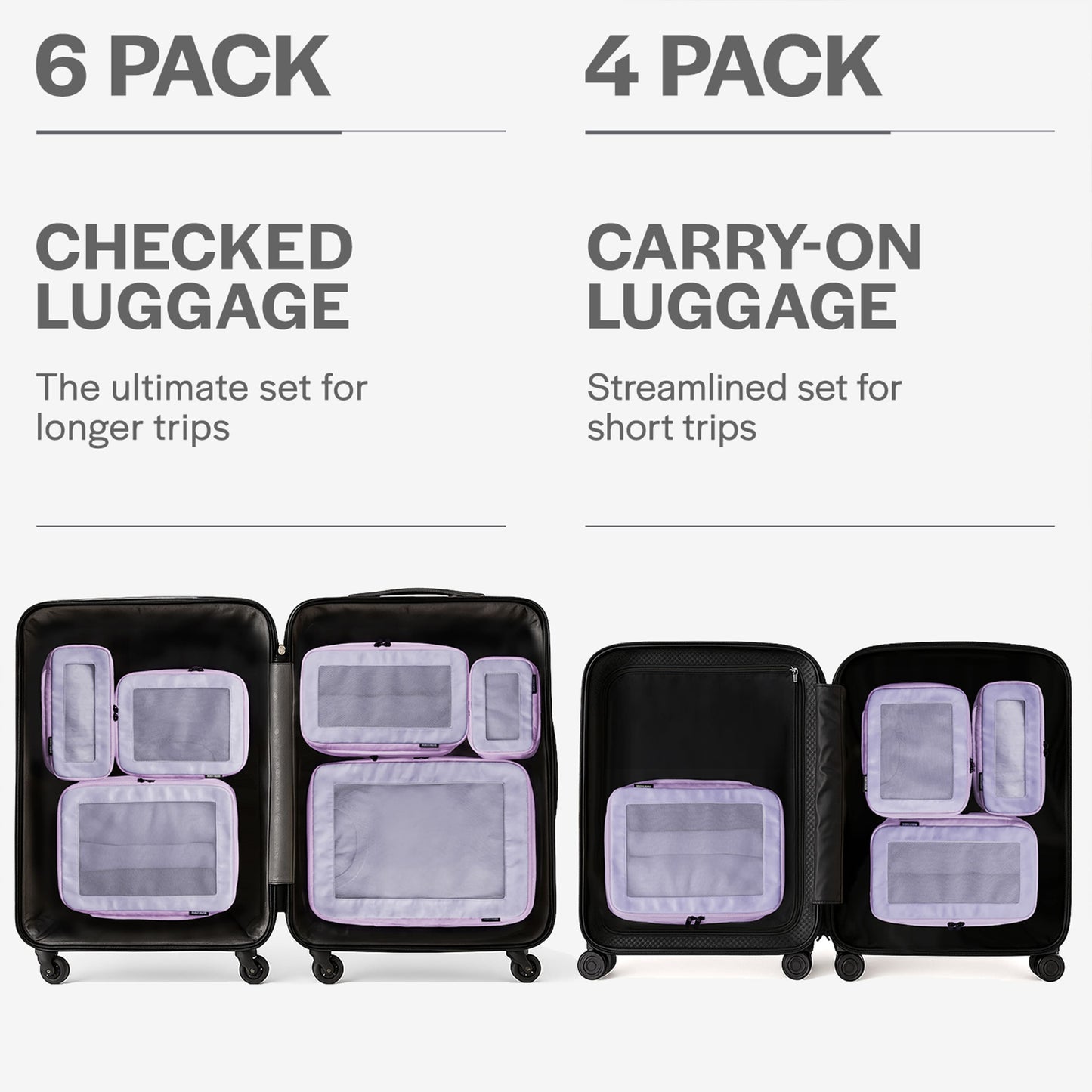 Purple 6-pack