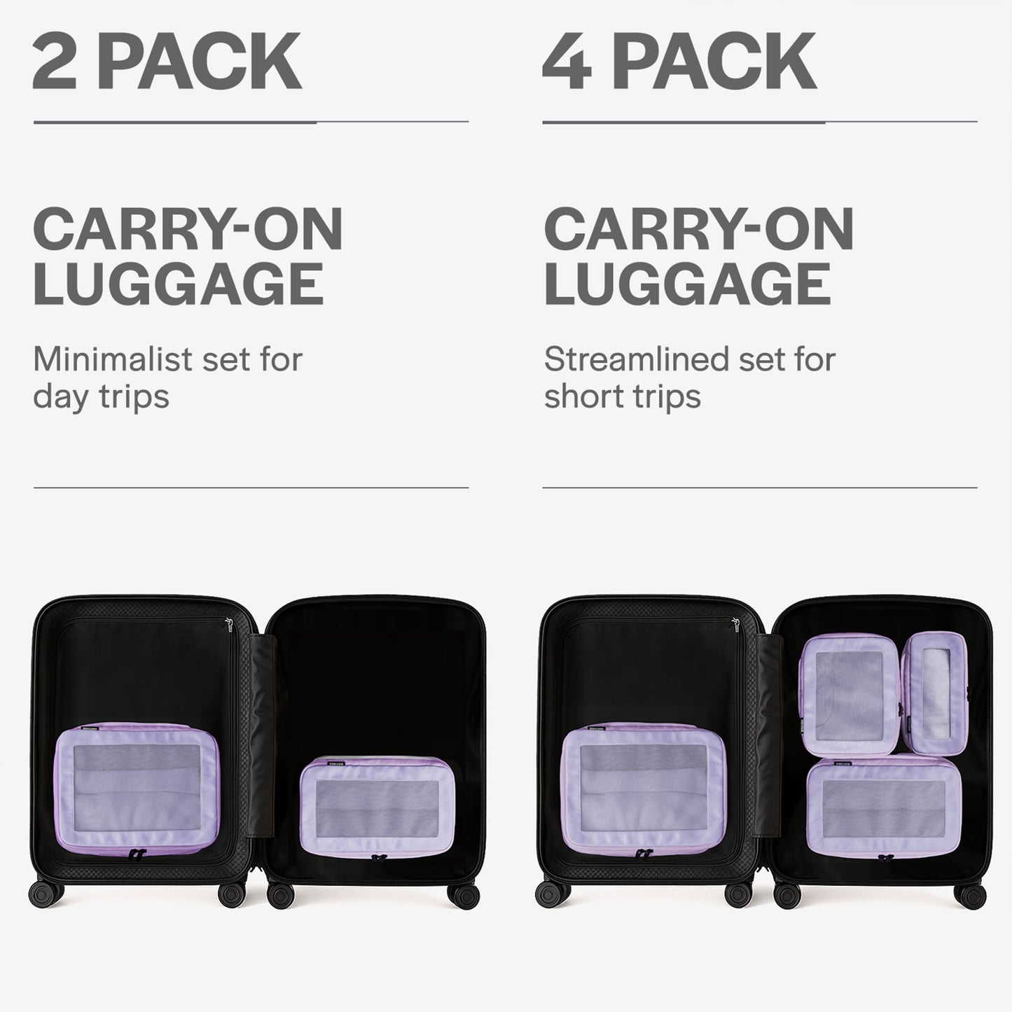 Purple 2-pack
