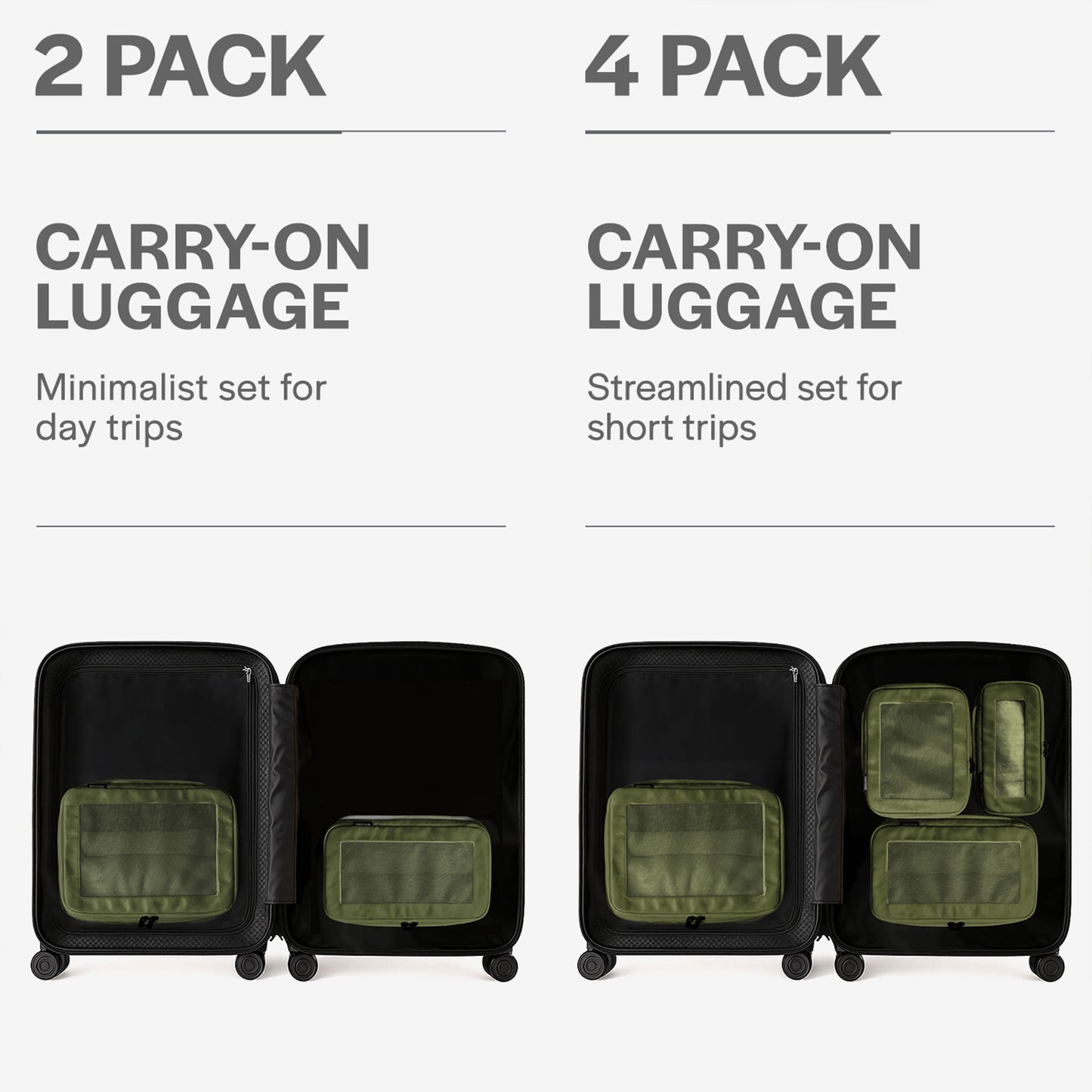 Olive 4-pack