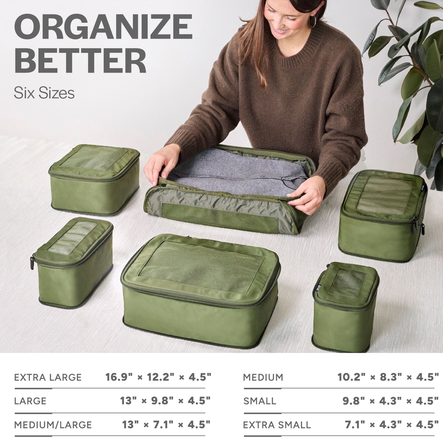 Olive 6-pack