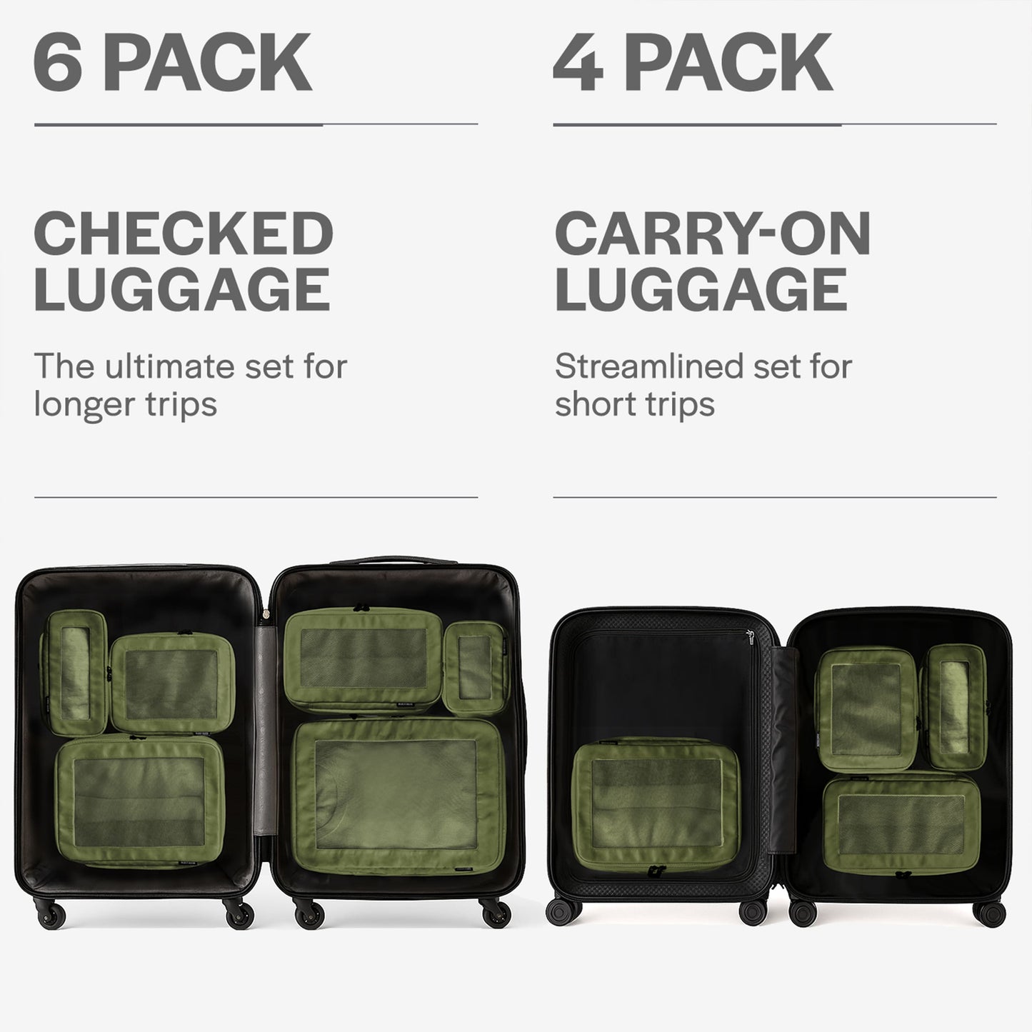 Olive 6-pack