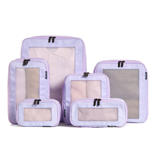 Purple / 6-Pack