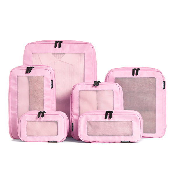 Pink / 6-Pack