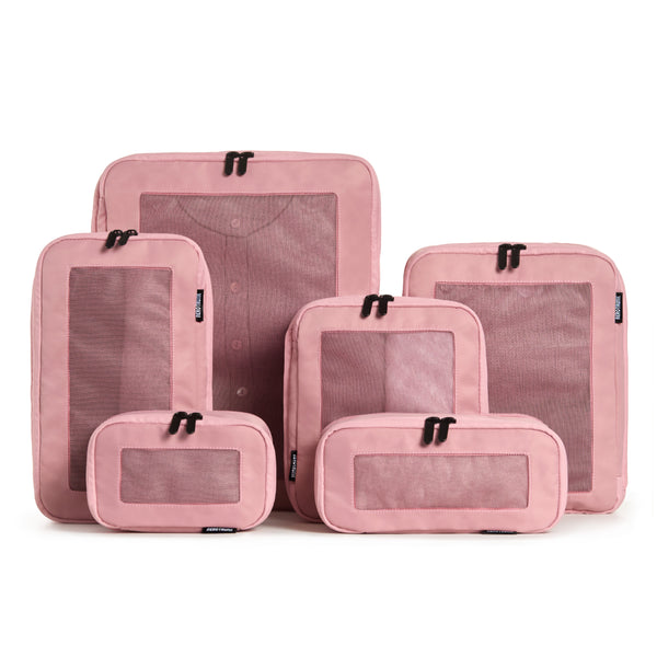 Rose / 6-Pack