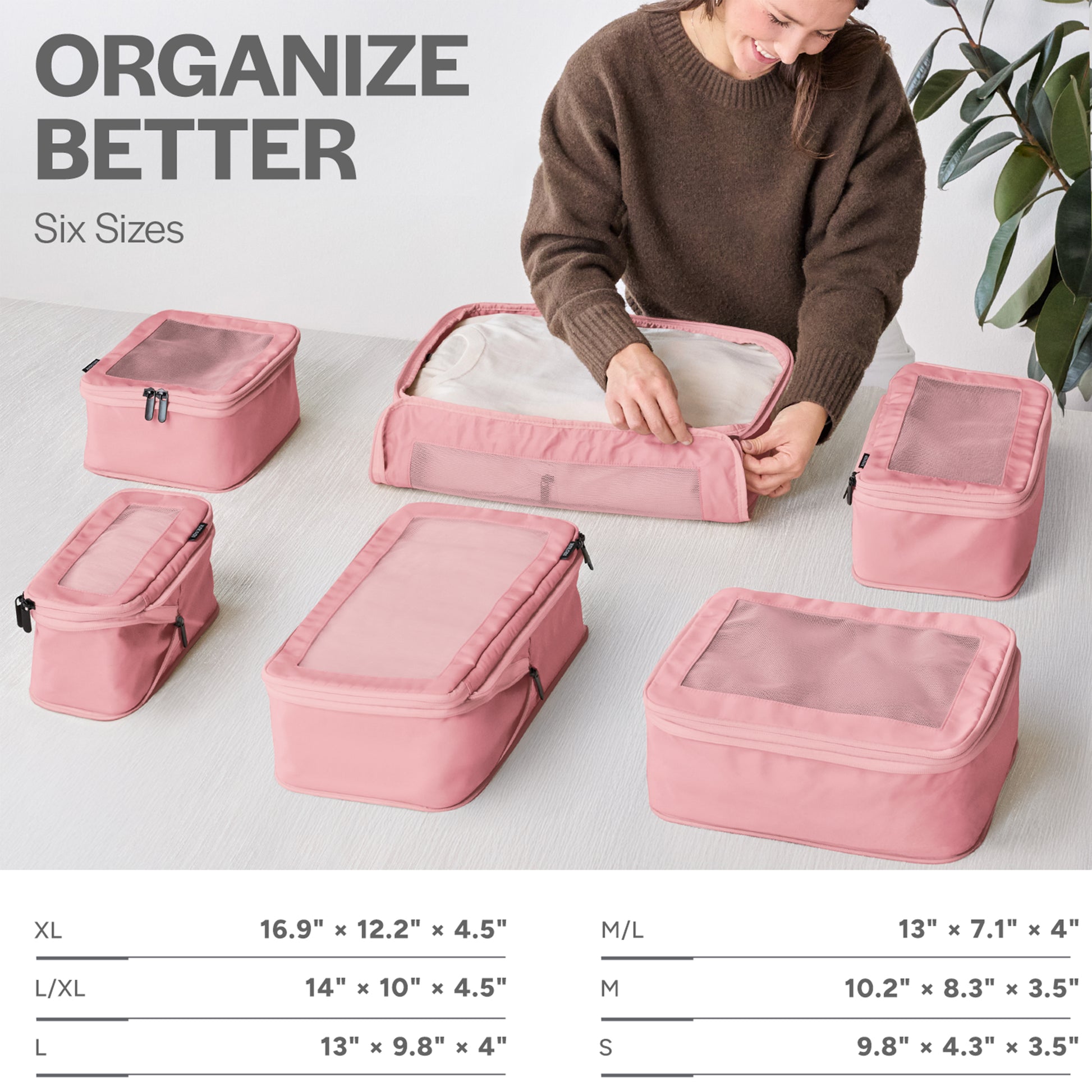 Rose 6-pack
