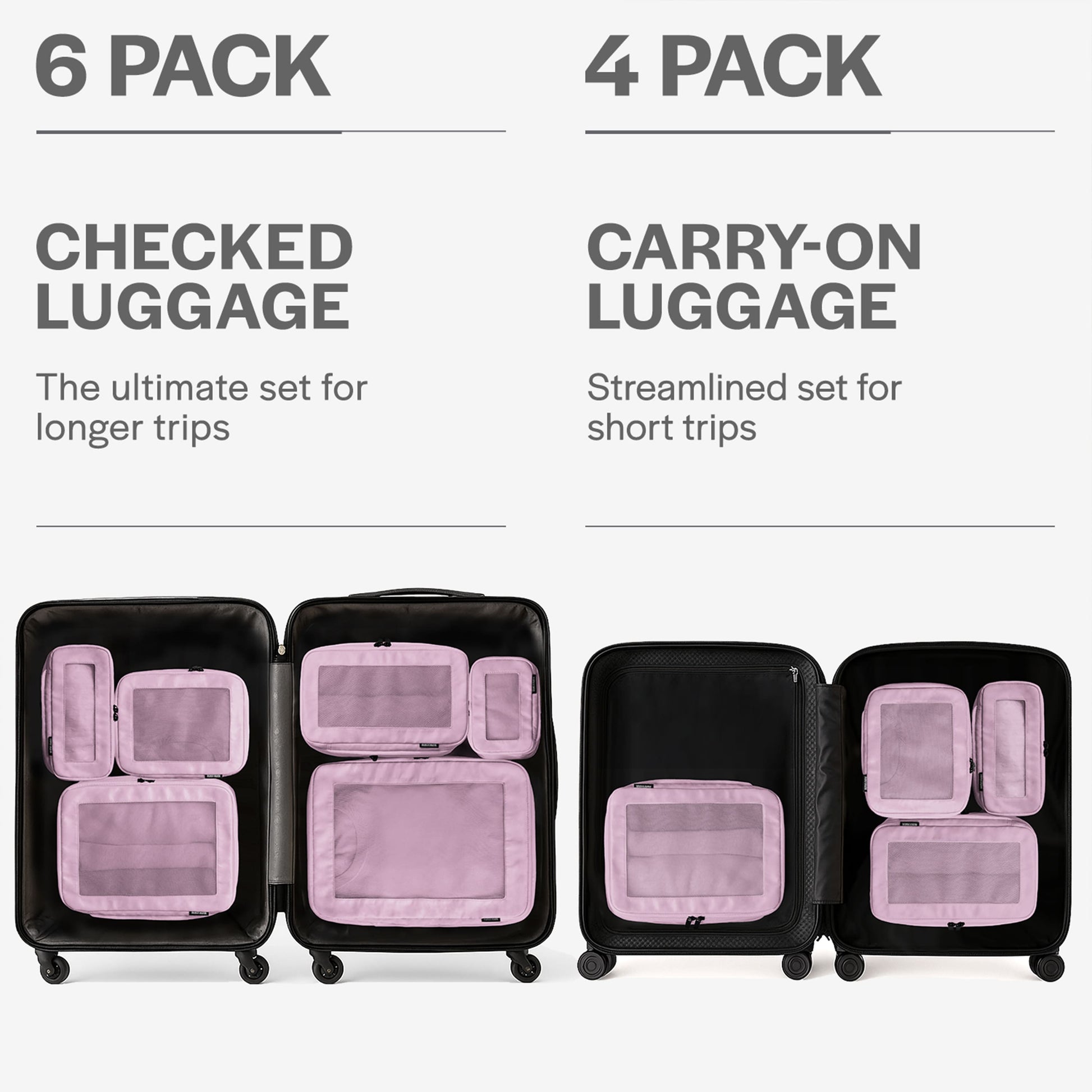 Pink 6-Pack