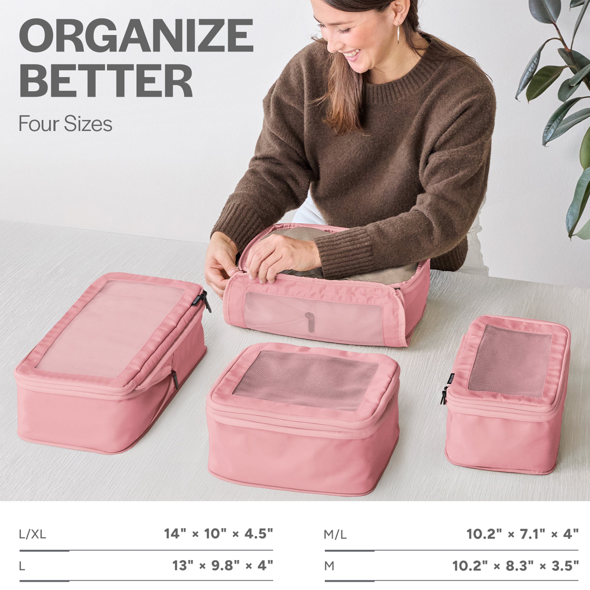 Rose 4-pack