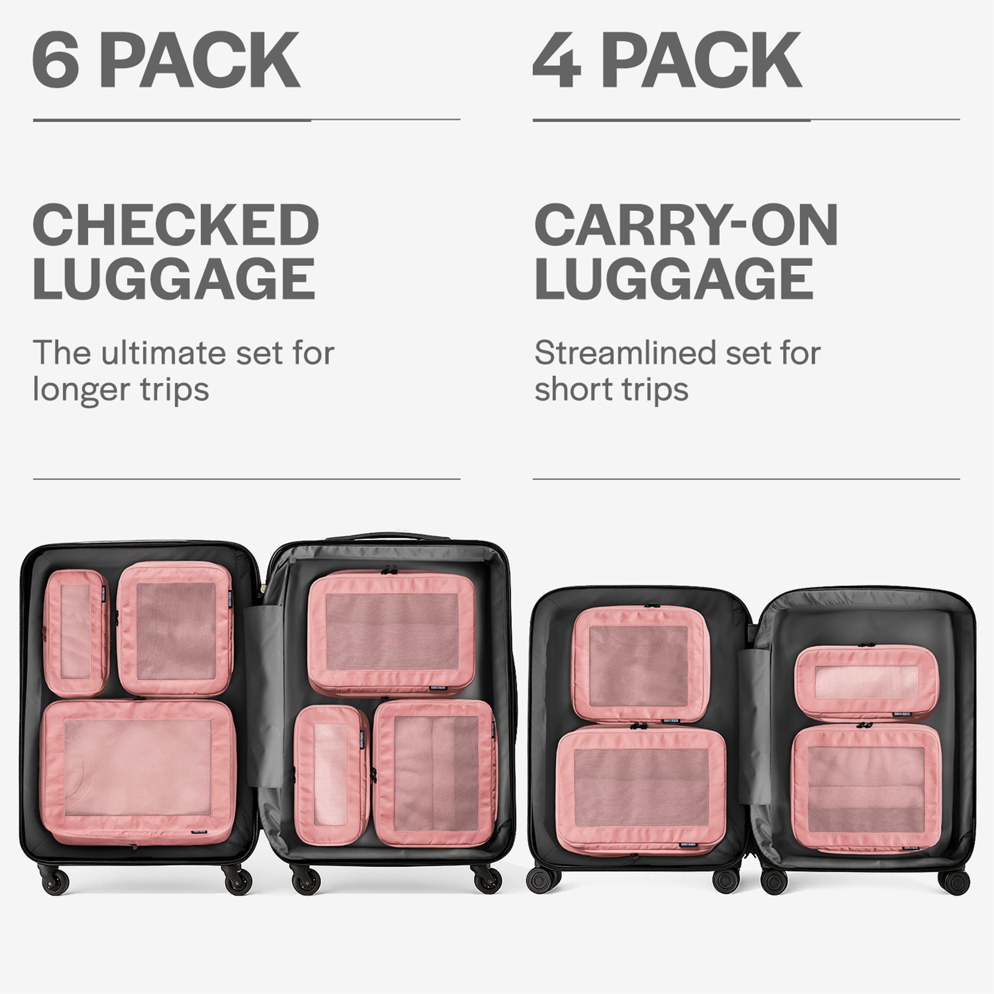 Rose 4-pack
