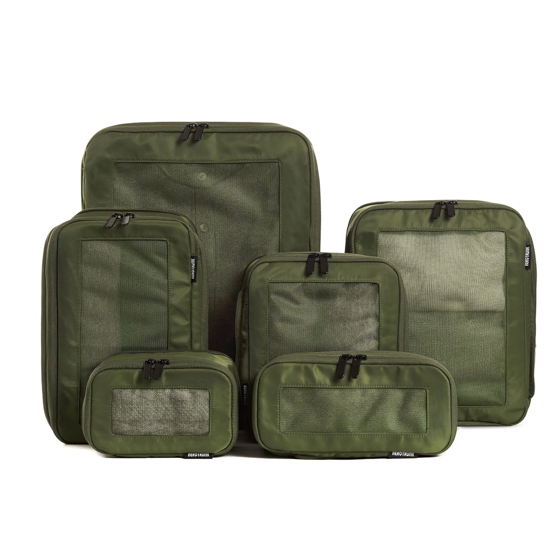 Olive 6-Pack