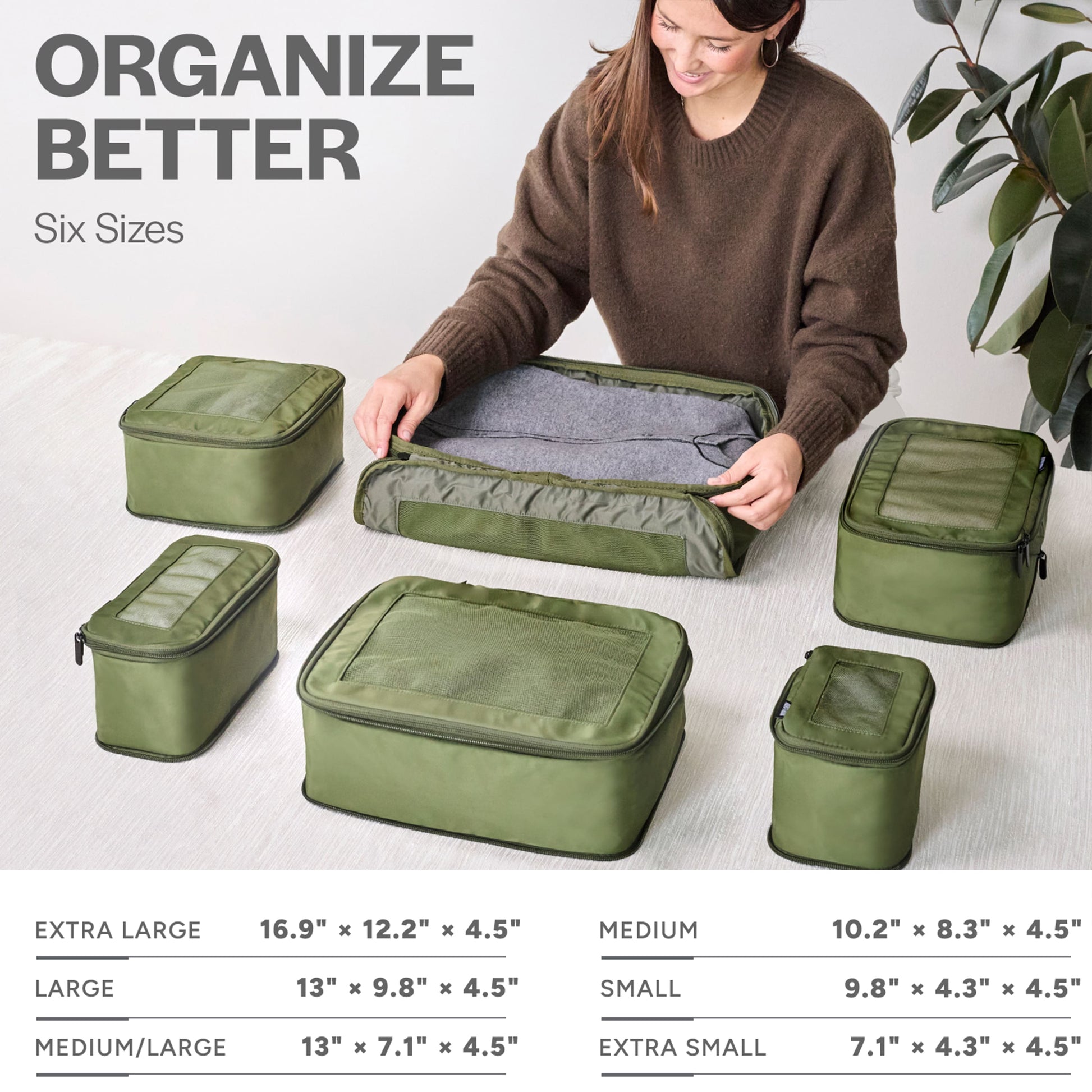 Olive 6-pack