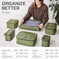 Olive 6-pack