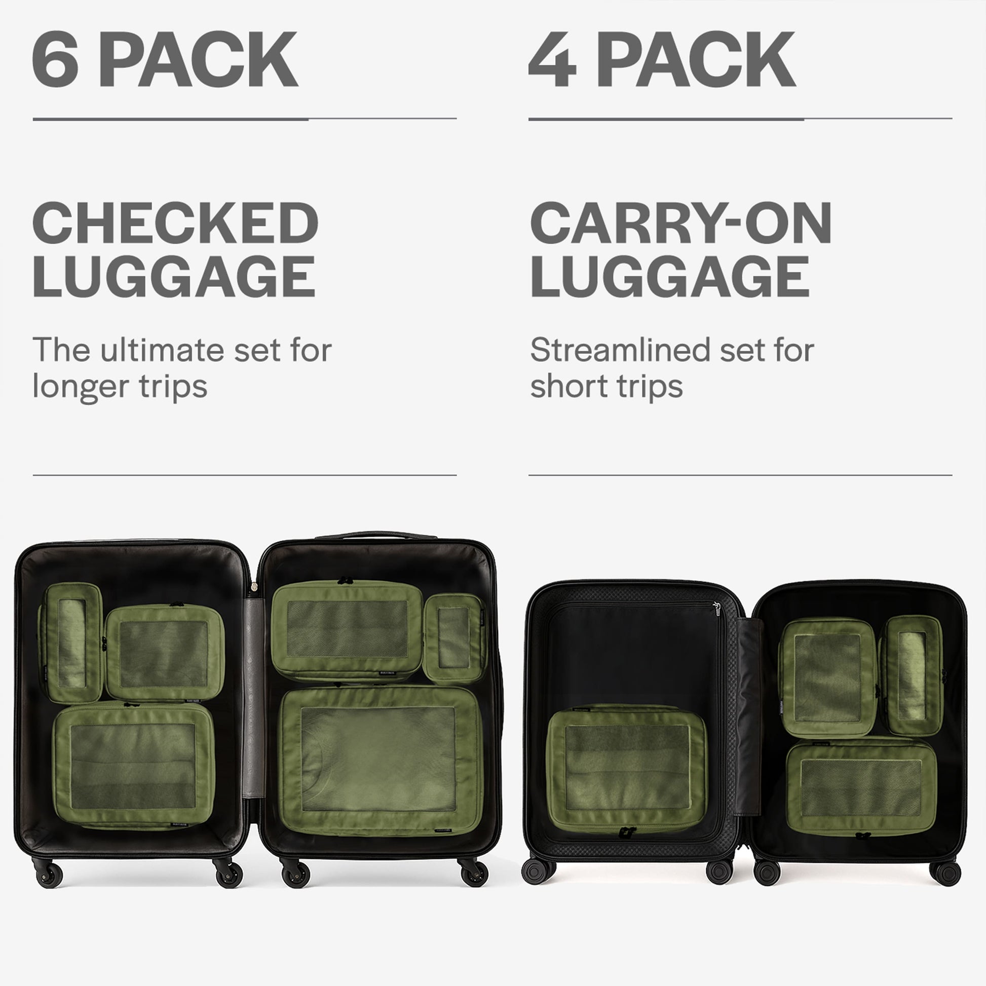 Olive 6-pack