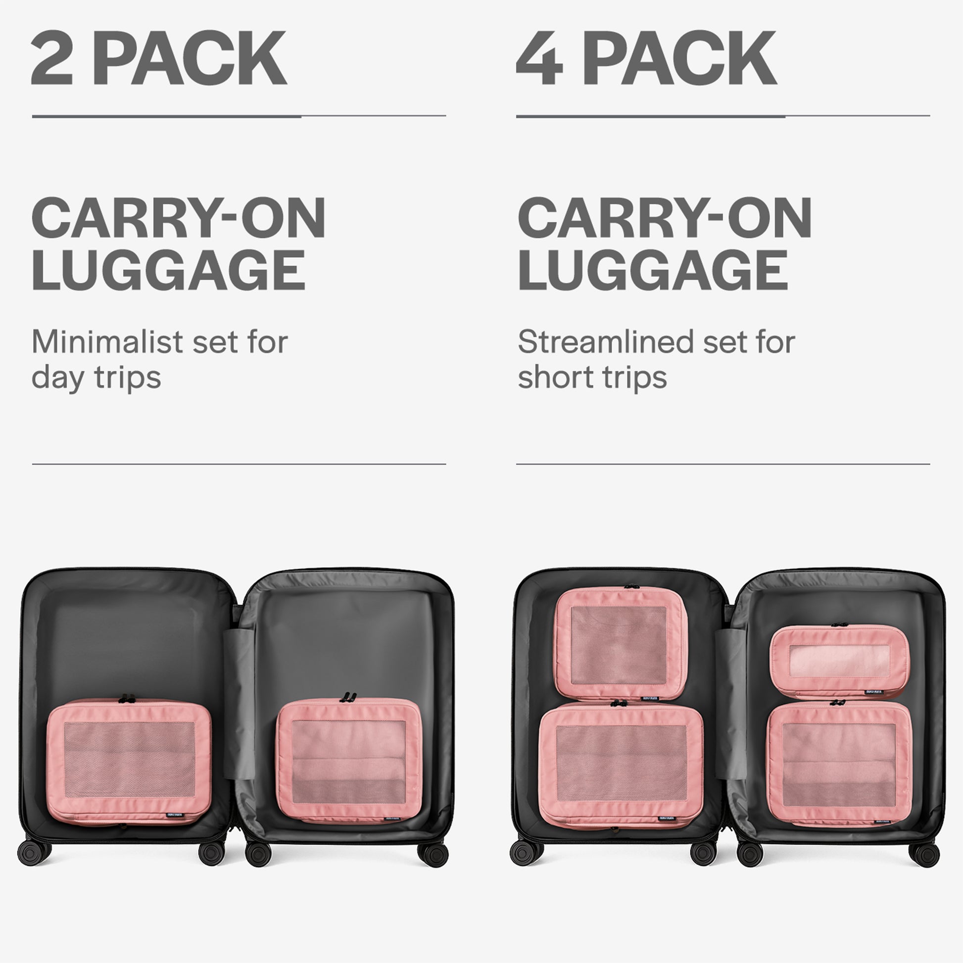 Rose 2-pack
