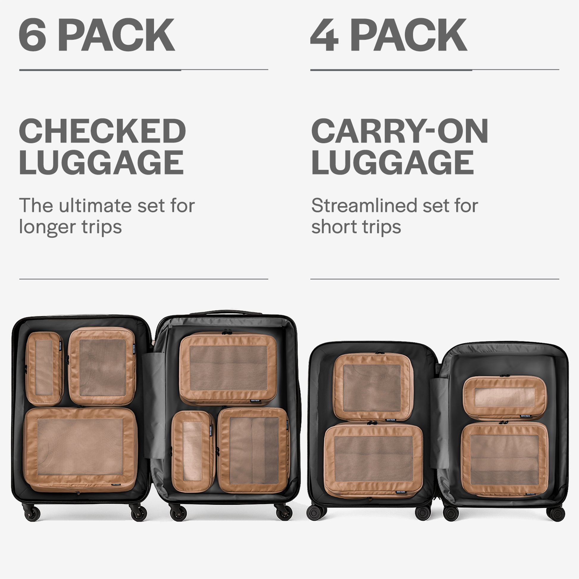 Mocha 6-pack