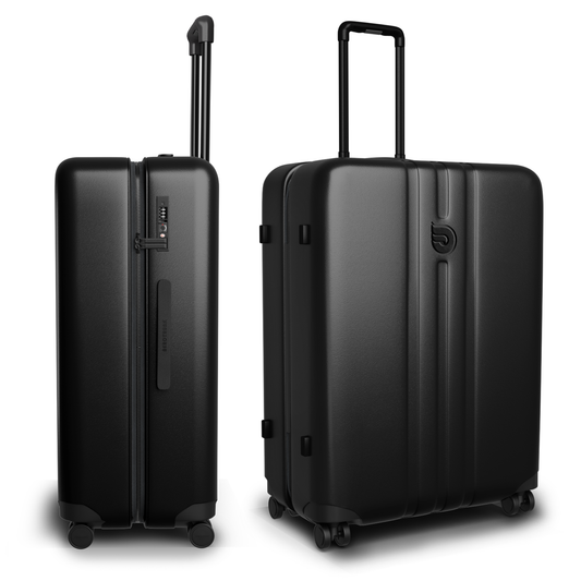 Armadillo Medium Checked Luggage (26.5 Inch)