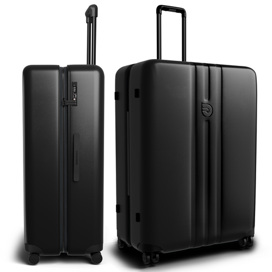 Armadillo Large Checked Luggage (30.5 Inch)